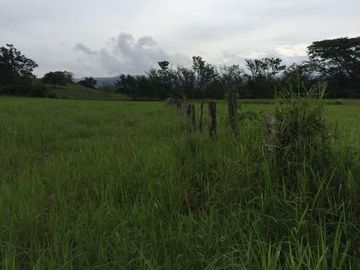 RANCHO EN VENTA VILLA HIDALGO  VILLAFLORES