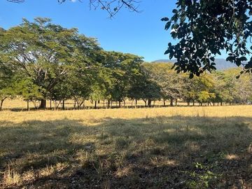 RANCHO EN VENTA CUAHUTEMOC VILLAFLORES