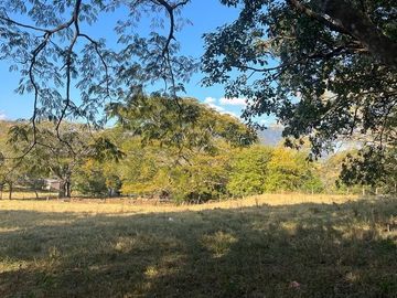 RANCHO EN VENTA CUAHUTEMOC VILLAFLORES