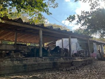 RANCHO EN VENTA CUAHUTEMOC VILLAFLORES