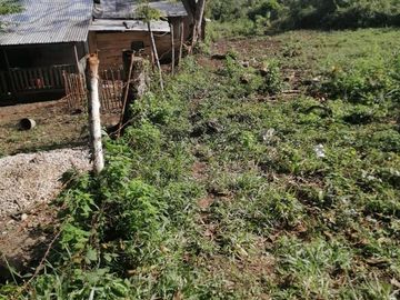 RANCHO EN VENTA OCOZOCOAUTLA CHIAPAS