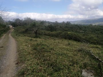 RANCHO EN VENTA OCOZOCOAUTLA CHIAPAS