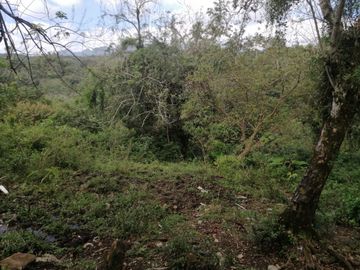RANCHO EN VENTA OCOZOCOAUTLA CHIAPAS