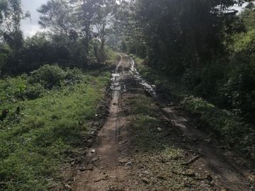 RANCHO EN VENTA OCOZOCOAUTLA CHIAPAS