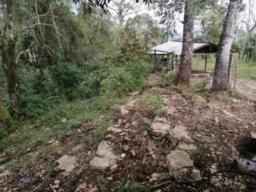 RANCHO EN VENTA OCOZOCOAUTLA CHIAPAS