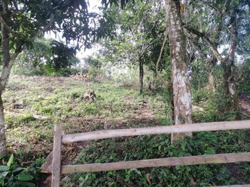 RANCHO EN VENTA OCOZOCOAUTLA CHIAPAS
