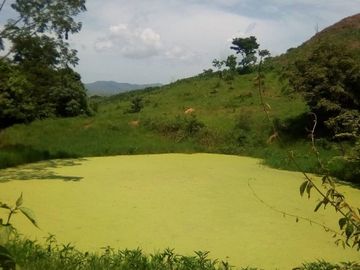 Rancho en Venta Cuauhtémoc Mpio. Villaflores, Chiapas