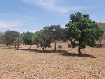 Rancho en Venta Cuauhtémoc Mpio. Villaflores, Chiapas
