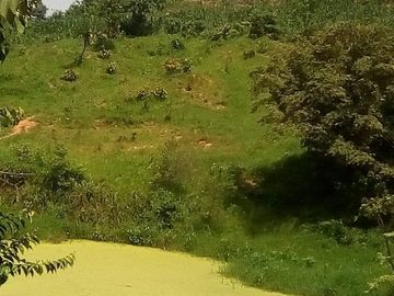 Rancho en Venta Cuauhtémoc Mpio. Villaflores, Chiapas
