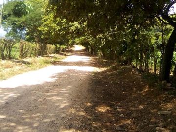 Rancho en Venta Cuauhtémoc Mpio. Villaflores, Chiapas