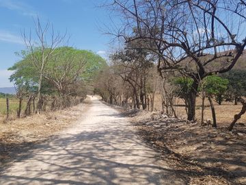 Rancho en Venta Cuauhtémoc Mpio. Villaflores, Chiapas