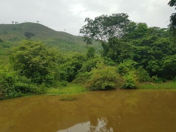 Rancho en Venta Cuauhtémoc Mpio. Villaflores, Chiapas