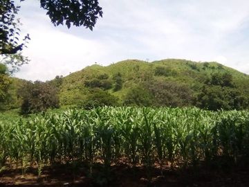 Rancho en Venta Cuauhtémoc Mpio. Villaflores, Chiapas