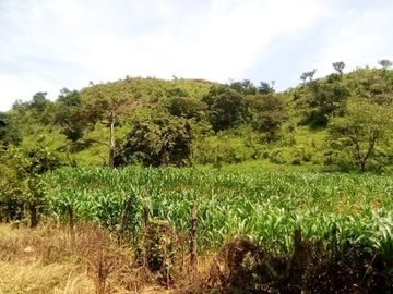 Rancho en Venta Cuauhtémoc Mpio. Villaflores, Chiapas