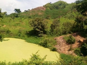 Rancho en Venta Cuauhtémoc Mpio. Villaflores, Chiapas
