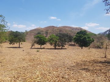 Rancho en Venta Cuauhtémoc Mpio. Villaflores, Chiapas