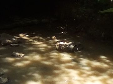 Rancho en Venta Cuauhtémoc Mpio. Villaflores, Chiapas