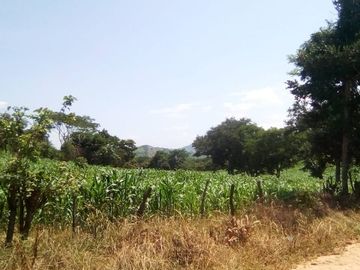 Rancho en Venta Cuauhtémoc Mpio. Villaflores, Chiapas