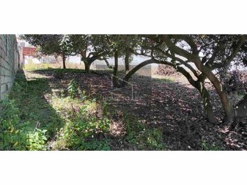 EN VENTA TERRENO DE 962m2 EXELENTE UBICACIÓN A EN CARCELEN