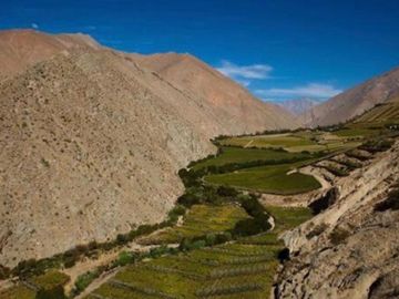 Parcela en venta en VICUÑA
