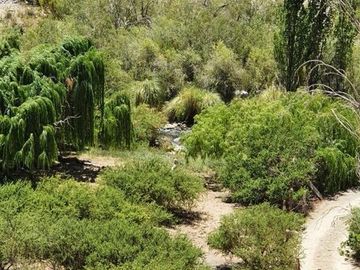 Parcela en venta en VICUÑA