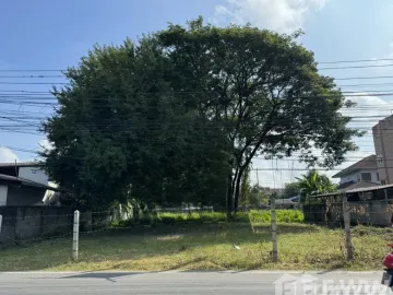 Land for sale in Nong Han, Chiang Mai