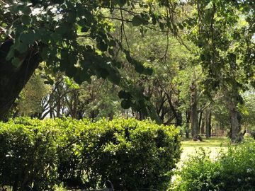 Campo en venta de 80 has en Gualeguay Entre Rios,  Casco histórico - Turismo rural