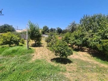 Vende Casa En Limache Con Arboles Frutales