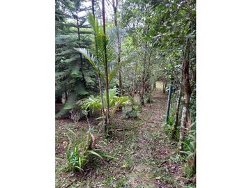 CASA CAMPESTRE / CERRO AZUL / 2,627m2 / 3 HABITAC. / AMPLIO TERRENO YG