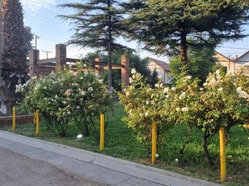 Casa en Venta en Parque central