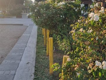 Casa en Venta en Parque central