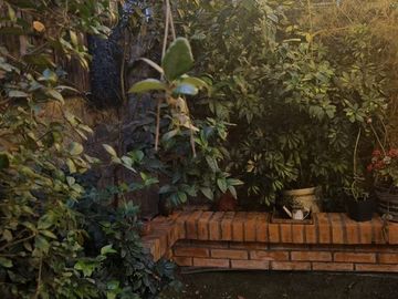 Casa en Venta en Parque central