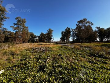 Venta Terreno / Lote de 1500 mts2, en Pinares Country Club