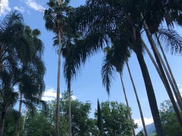 Quinta en venta en Las Raíces en Montemorelos