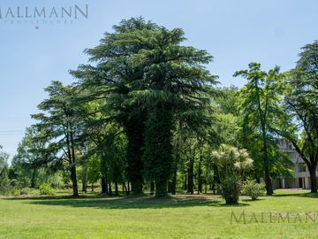 Depto 2 ambientes con jardin km 49.5 Bosque Pilar - Mallmann Propiedades
