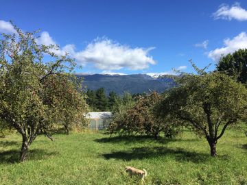 Chacra en  Villa Turismo - El Bolson