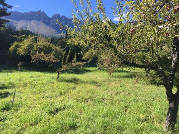 Chacra en  Villa Turismo - El Bolson