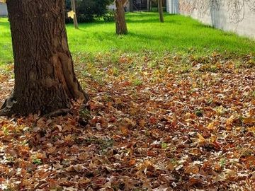 Terreno en Mart.-Fleming/Panam.