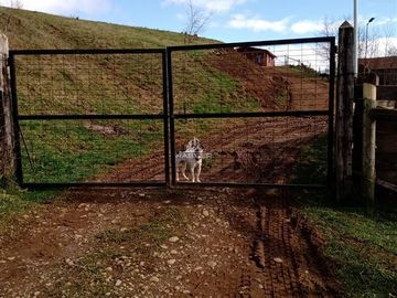 Parcela en Venta en Campo en Lanco, Region de los Rios, Valdivia