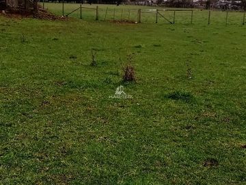 Parcela en Venta en Campo en Lanco, Region de los Rios, Valdivia