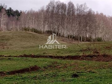 Parcela en Venta en Campo en Lanco, Region de los Rios, Valdivia
