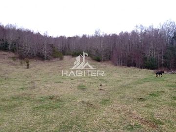 Parcela en Venta en Campo en Lanco, Region de los Rios, Valdivia