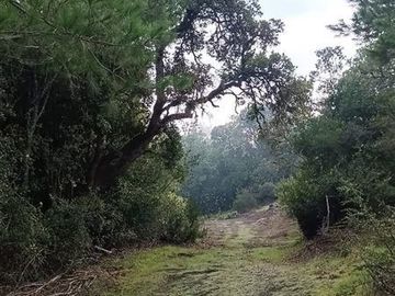 Parcela en Venta en Ruta Q-30, Camino La mona,Los Angeles VIII Region