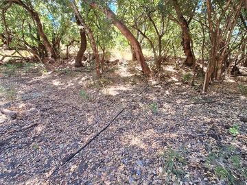 Parcela en Venta en Ruta Q-30, Camino La mona,Los Angeles VIII Region