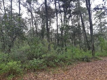 TERRENO EN VENTA, EN EDO. HIDALGO