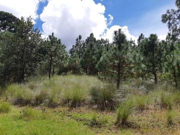 TERRENO EN VENTA, EN EDO. HIDALGO