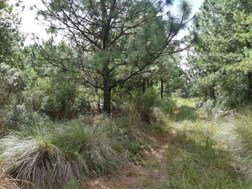 TERRENO EN VENTA, EN EDO. HIDALGO