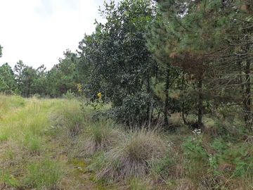 TERRENO EN VENTA, EN EDO. HIDALGO