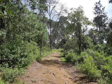TERRENO EN VENTA, EN EDO. HIDALGO