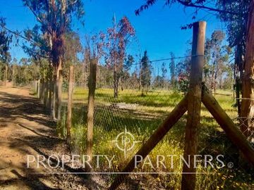 Hermosa parcela de 10.300 m/2 en Condominio La Foresta de Zapallar